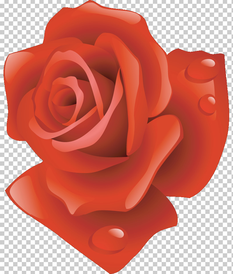 One Flower One Rose Valentines Day PNG, Clipart, Cut Flowers, Floribunda, Flower, Garden Roses, Hybrid Tea Rose Free PNG Download