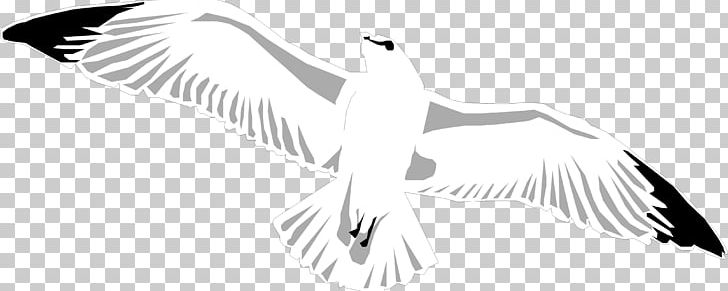 Gulls Line Art Bird PNG, Clipart, Animal, Animals, Artwork, Beak, Bird Free PNG Download