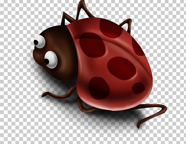Insect Ladybird PNG, Clipart, Animals, Beetle, Diagram, Download, Hand Free PNG Download
