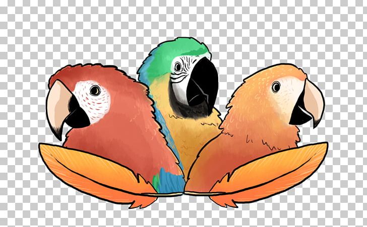 Macaw Parrot Podcast Drawing PNG, Clipart, 2017, Animals, Art, August, Beak Free PNG Download