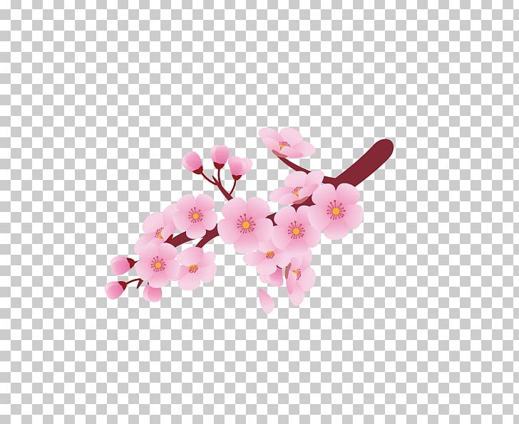 Cherry Blossom Flower PNG, Clipart, Blossom, Blossoms, Branch, Cherry, Cherry Vector Free PNG Download