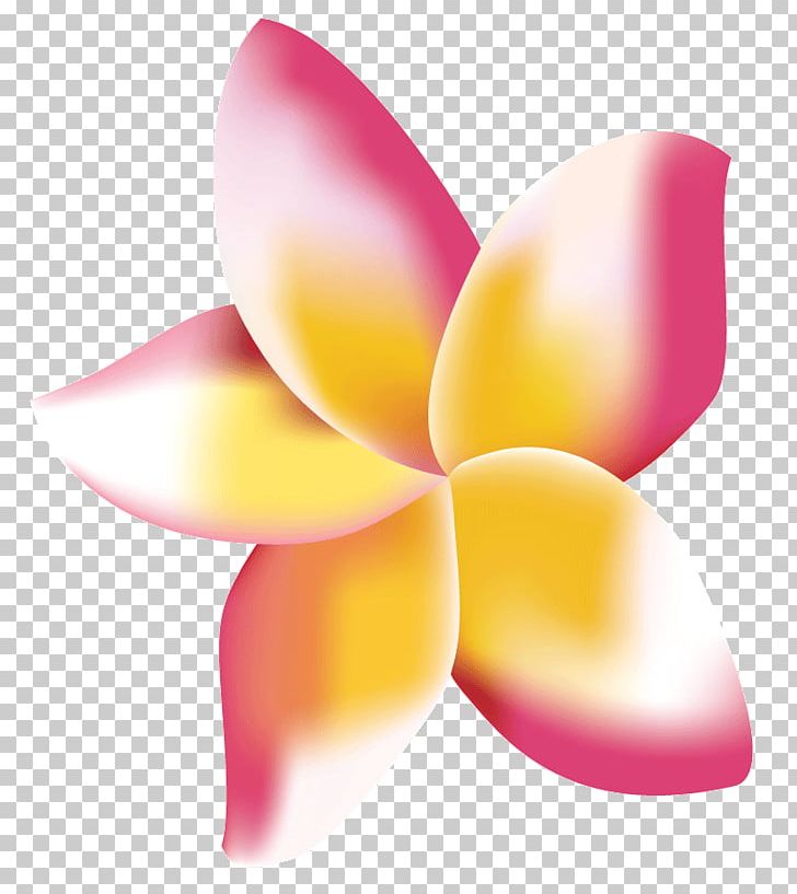 Frangipani Digital Marketing Flower Petal PNG, Clipart, Brand, Closeup, Computer Wallpaper, Desktop Wallpaper, Digital Marketing Free PNG Download