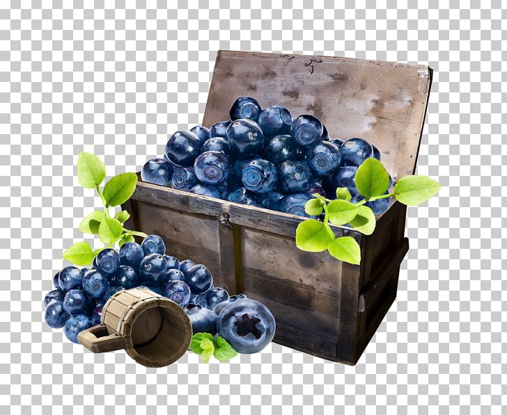 Grape Blueberry Bilberry Portable Network Graphics PNG, Clipart, Berry, Bilberry, Blueberry, European Blueberry, Food Free PNG Download