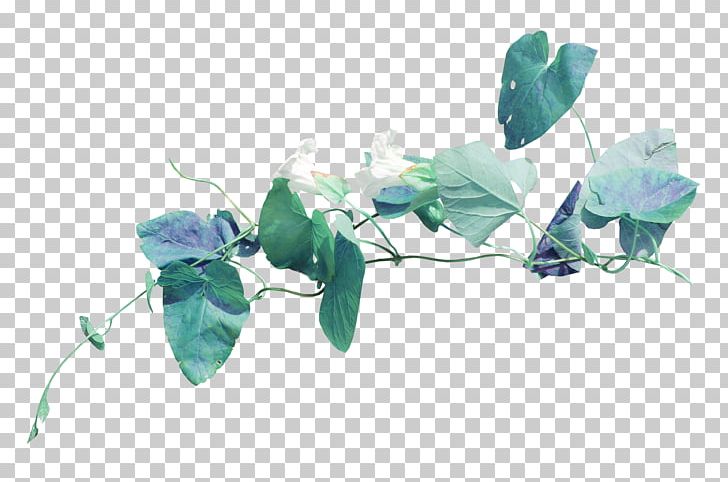 Photography Scrapbooking Petal Leaf PNG, Clipart, Ansichtkaart, Branch, Butterfly, Collab, Flower Free PNG Download