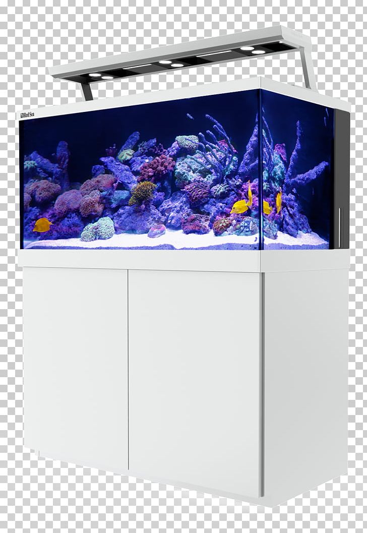 Reef Aquarium Light Coral Reef PNG, Clipart, Aquarium, Aquarium Lighting, Aquariums, Cobalt Blue, Coral Free PNG Download