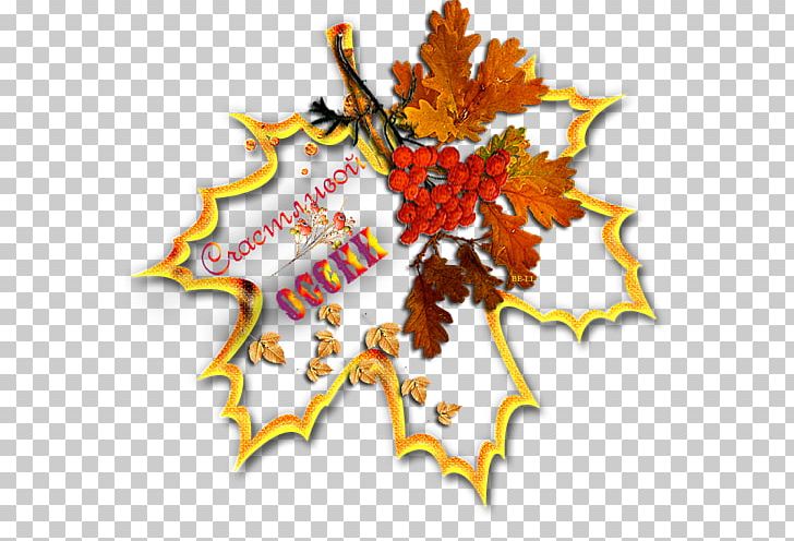 Autumn Photography Leaf PNG, Clipart, Abscission, Autumn, Digital Image, Drawing, Fictional Character Free PNG Download
