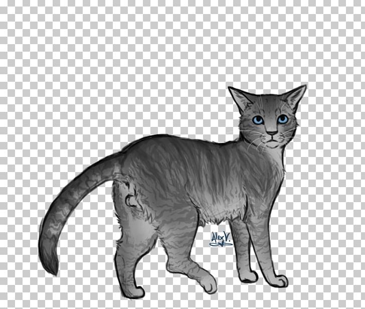 Devon Rex Kitten Whiskers Warriors Domestic Short-haired Cat PNG, Clipart, Animals, Art, Asian, Burmese, Carnivoran Free PNG Download