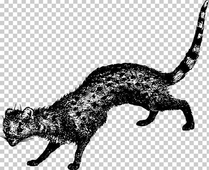 Whiskers Wildcat Paw Mammal PNG, Clipart, Animal Figure, Animals, Big Cat, Big Cats, Black And White Free PNG Download