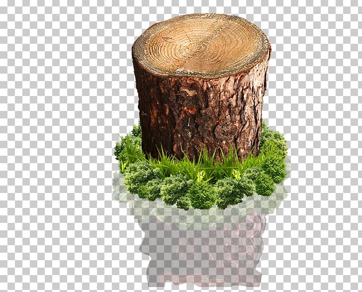 Wood Tree Stump PNG, Clipart, Decorative Patterns, Flowerpot, Grass, Poplar, Raster Graphics Free PNG Download