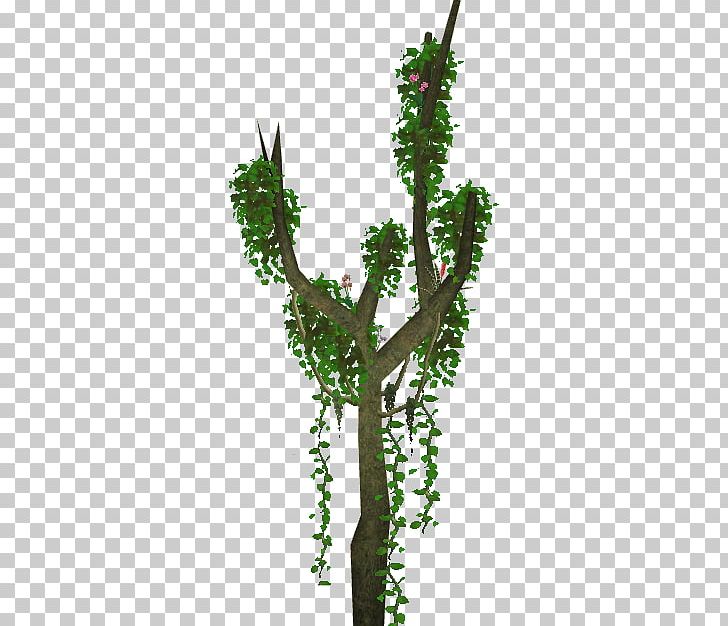 Zoo Tycoon 2 Tree Plant Branch Wiki PNG, Clipart, Blog, Blue Fang Games, Branch, Climbing, Flowering Plant Free PNG Download