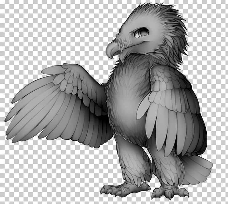 Bird Of Prey Beak Bald Eagle Owl PNG, Clipart, Animal, Animals, Bald Eagle, Barn Owl, Base Free PNG Download