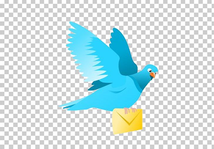 Homing Pigeon Pigeons And Doves English Carrier Pigeon Bird PNG, Clipart, Animal, Animals, Beak, Bird, Computer Wallpaper Free PNG Download