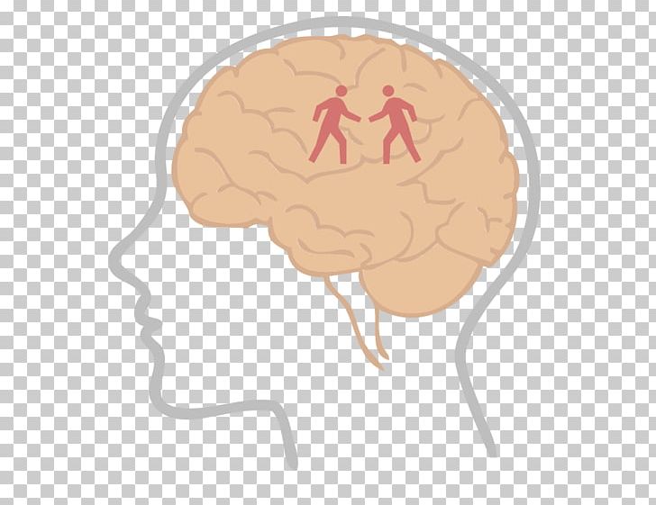 Brain Insight Neurochemistry Learning Thumb PNG, Clipart, Brain, Cannabidiol, Finger, Hand, Hash Oil Free PNG Download