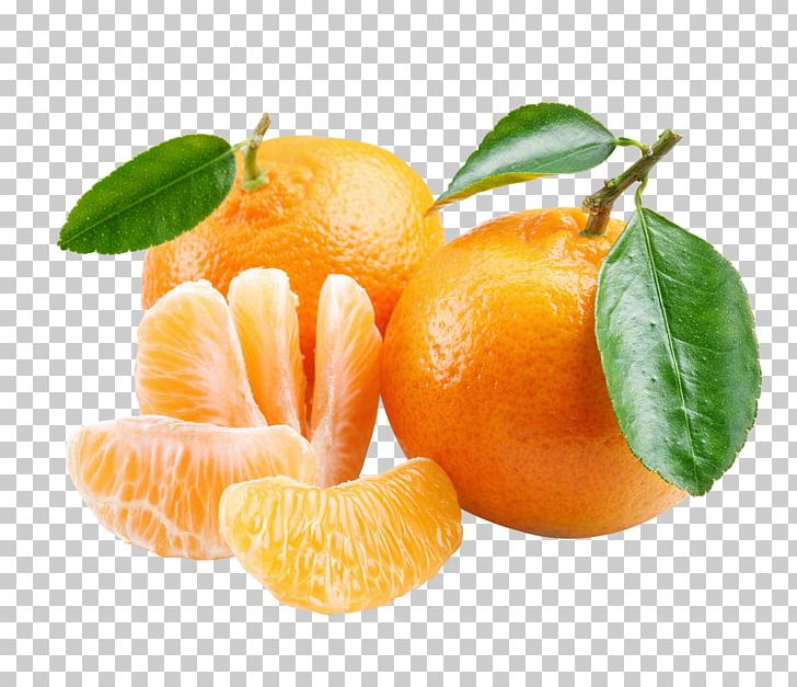 Tangerine Mandarin Orange Clementine Lemon PNG, Clipart, Calamondin, Citrus, Decorative, Food, Fruit Free PNG Download