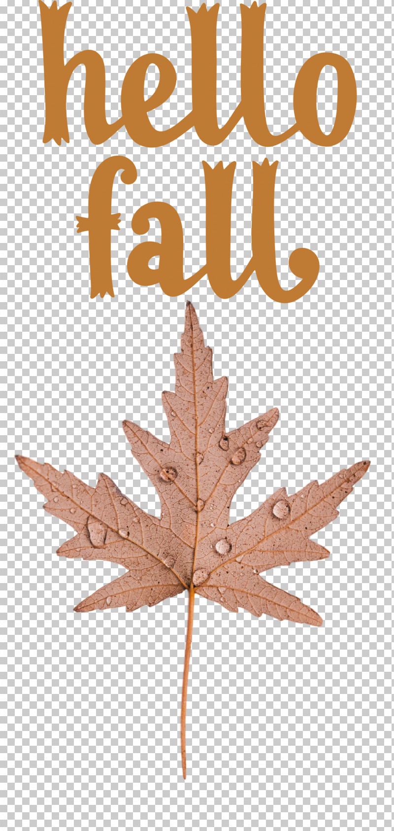 Hello Fall Fall Autumn PNG, Clipart, Autumn, Autumn Wreath, Craft, Fall, Hello Fall Free PNG Download