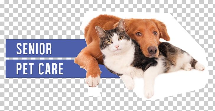 Dog–cat Relationship Staffordshire Bull Terrier Pet Veterinarian PNG, Clipart, Animal, Animals, Breakdown, Care, Cat Free PNG Download