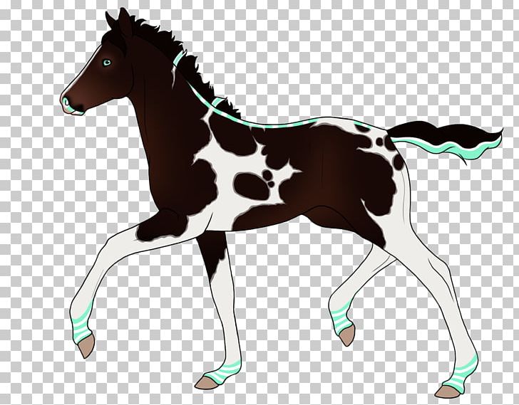 Foal Mustang Stallion Colt Mare PNG, Clipart, Animal Figure, Colt, Foal, Giraffidae, Halter Free PNG Download