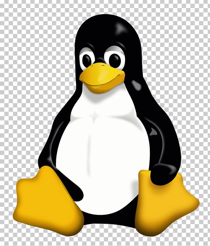 Linux Distribution Tux PNG, Clipart, Arch Linux, Beak, Bird, Computer Servers, Computer Software Free PNG Download