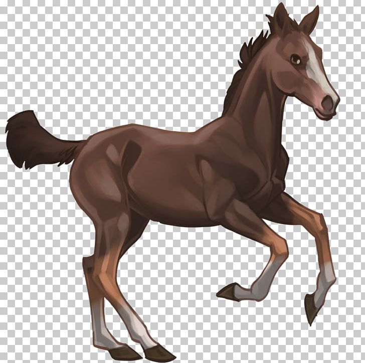 Mustang Foal Stallion Colt Rein PNG, Clipart, Animal Figure, Bridle, Chestnut, Colt, Darkspace Free PNG Download