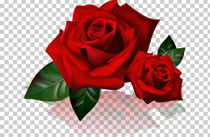 Rose Desktop PNG, Clipart, Cut Flowers, Desktop Wallpaper, Floribunda, Flower, Flower Arranging Free PNG Download