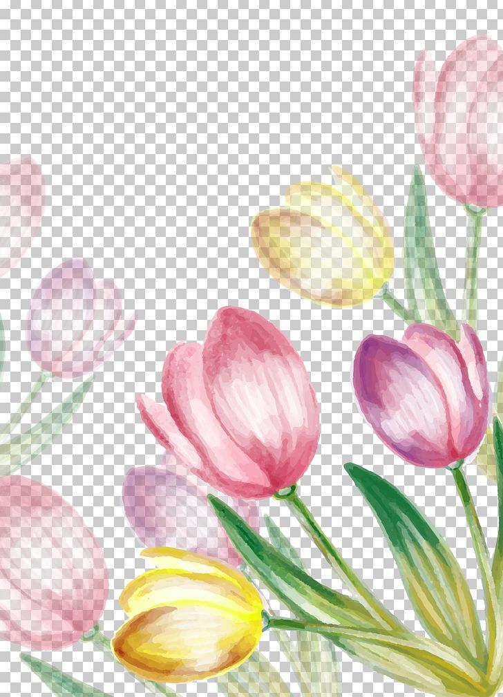 Water Painted Tulip PNG, Clipart, Color, Encapsulated Postscript, Flower, Flowers, Happy Birthday Vector Images Free PNG Download