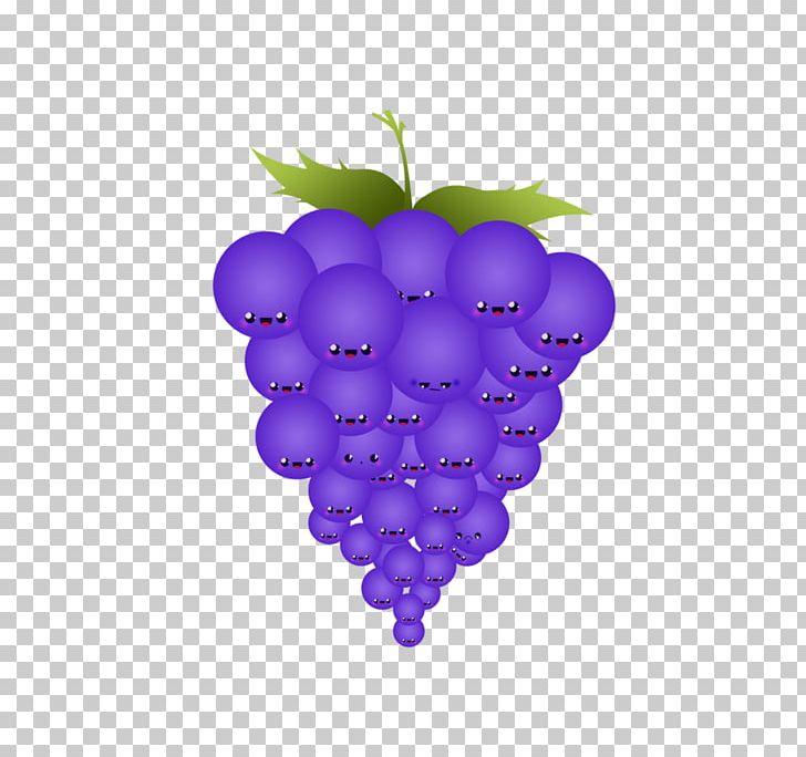 Common Grape Vine Fruit Wine Fruit Wine PNG, Clipart, Cherry, Common Grape Vine, Flowering Plant, Food, Fruit Free PNG Download