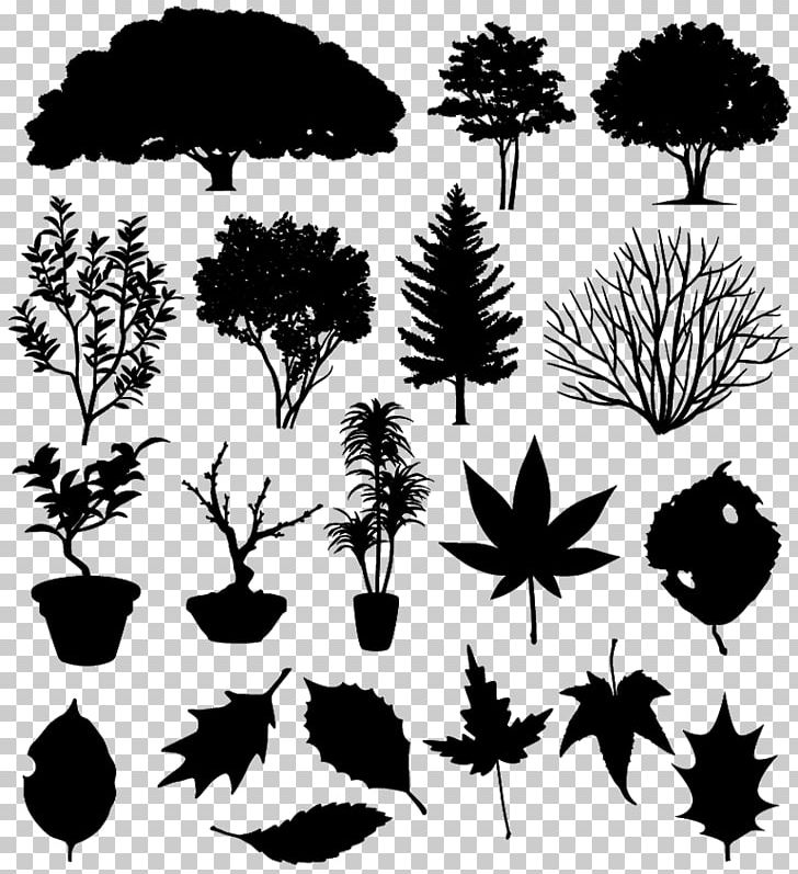 Silhouette Tree PNG, Clipart, Animals, Black And White, Bonsai, Branch, Flora Free PNG Download