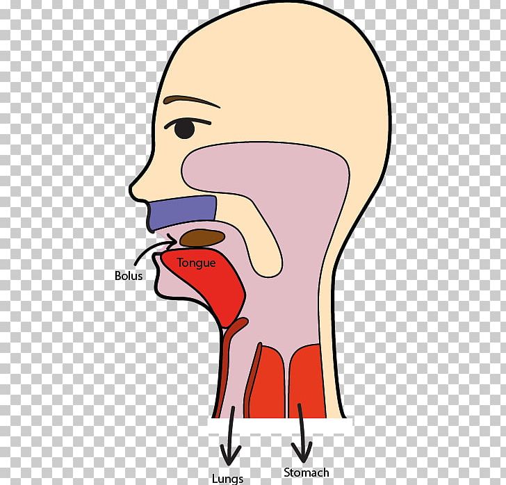 Swallowing Food Eating Open PNG, Clipart,  Free PNG Download