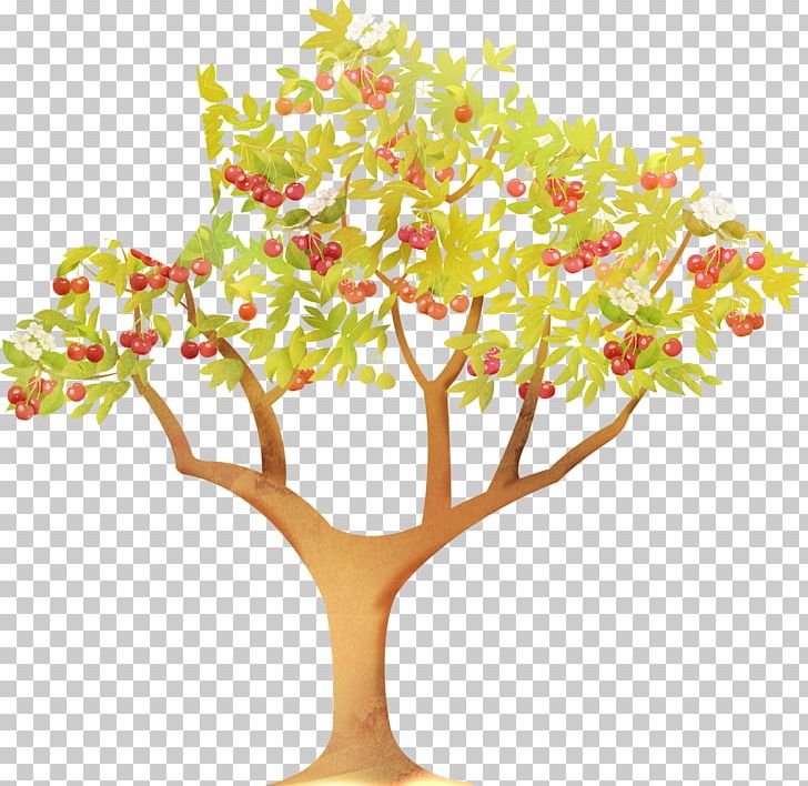 GUM Bosco Family Petrovsky Passage Bosco Di Ciliegi Sublime By Bosco PNG, Clipart, Articoli, Branch, Business, Clothing, Family Tree Free PNG Download