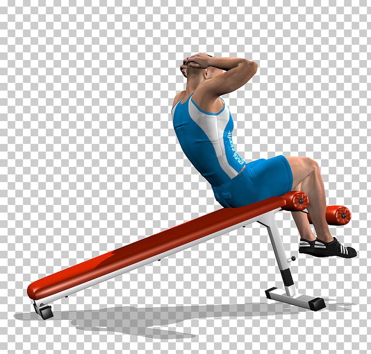 Physical Fitness Crunch Bench Rectus Abdominis Muscle Abdominal Exercise PNG, Clipart, Abdomen, Abdominal Exercise, Abdominal External Oblique Muscle, Arm, Crunch Fitness Free PNG Download