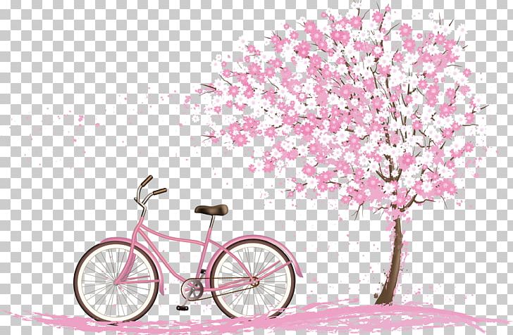 Cherry Blossom Spring PNG, Clipart, Beautiful, Bicycle, Bike, Blossom, Cherry Free PNG Download