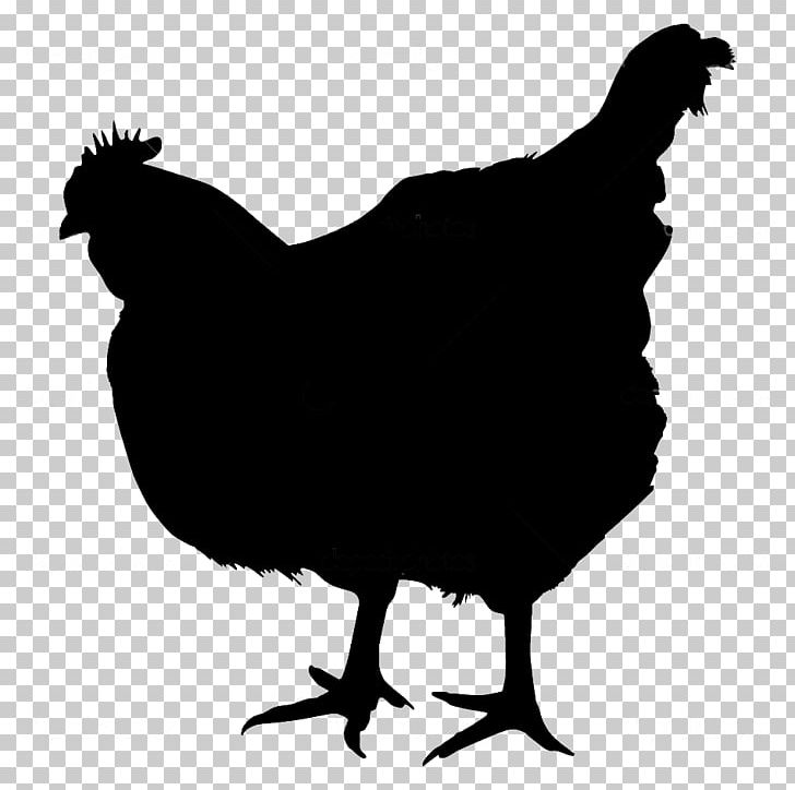 Chicken Photography Rooster PNG, Clipart, Animals, Beak, Bird, Black And White, Chicken Free PNG Download
