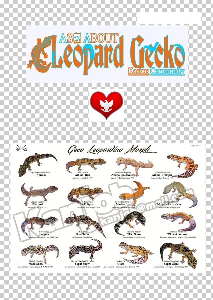 Common Leopard Gecko Lizard Reptile PNG, Clipart, Animal, Animals, Area, Brand, Common House Gecko Free PNG Download