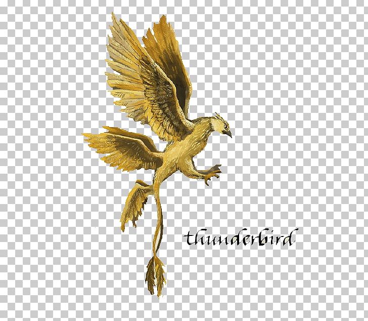 Fantastic Beasts And Where To Find Them Harry Potter Prequel Hogwarts Drawing PNG, Clipart, Ancient, Ancient Time, Balloon Cartoon, Beak, Bird Free PNG Download