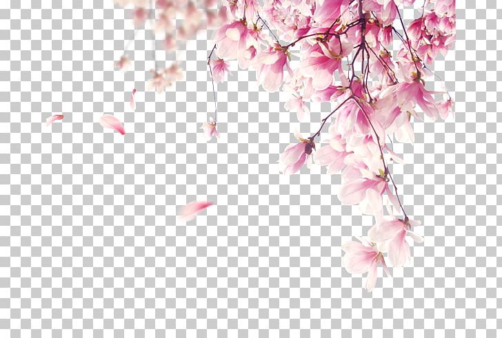 Heart Poster Branch PNG, Clipart, Art, Background, Blossom, Branch, Cherry Blossom Free PNG Download