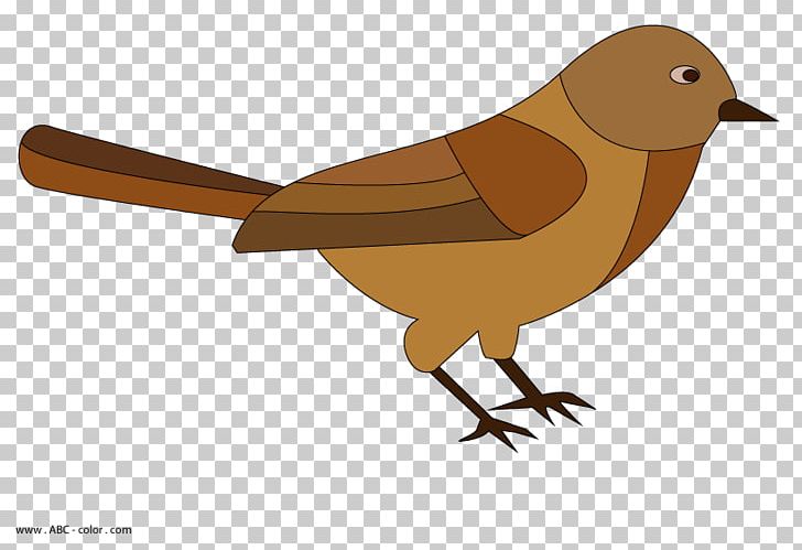 Raster Graphics Drawing House Sparrow PNG, Clipart, Bird, Birdie, Computer Program, Decoupage, Desktop Wallpaper Free PNG Download