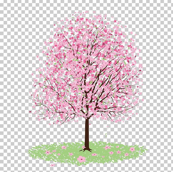 Cherry Blossom PNG, Clipart, Blossom, Branch, Cherry, Cherry Blossom, Encapsulated Postscript Free PNG Download