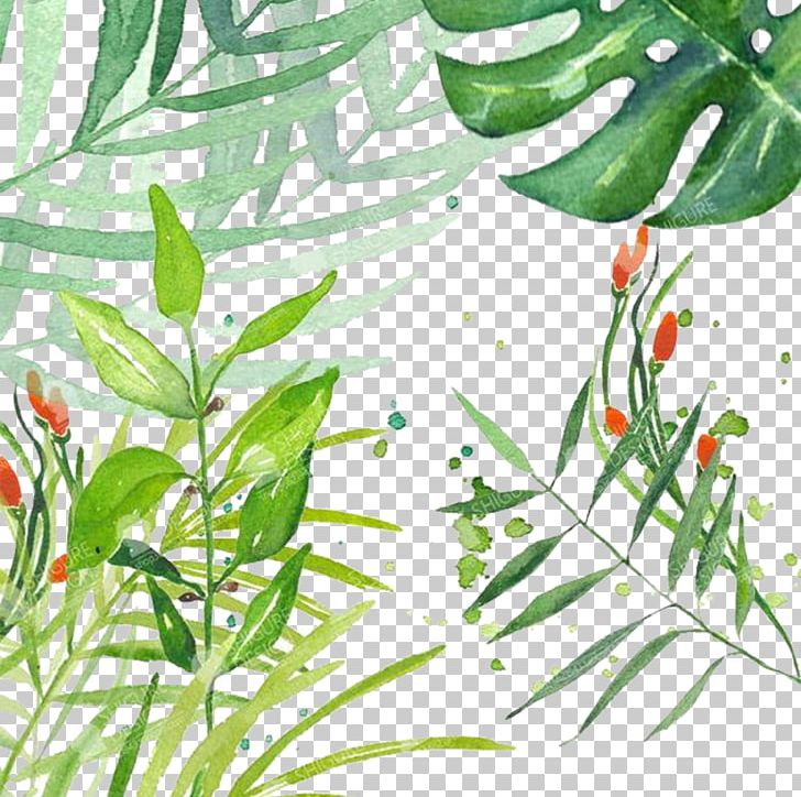 Common Grape Vine Leaf Illustration PNG, Clipart, Background Decoration, Branch, Decoration, Flora, Flower Free PNG Download