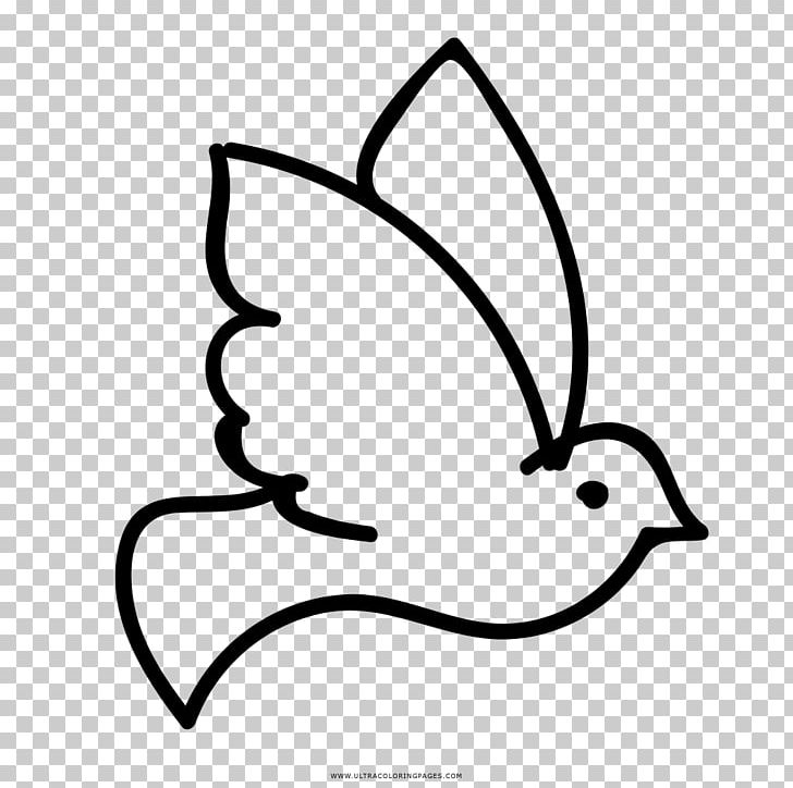 Rock Dove Columbidae Coloring Book Drawing Ausmalbild PNG, Clipart, Animal, Area, Artwork, Ausmalbild, Beak Free PNG Download