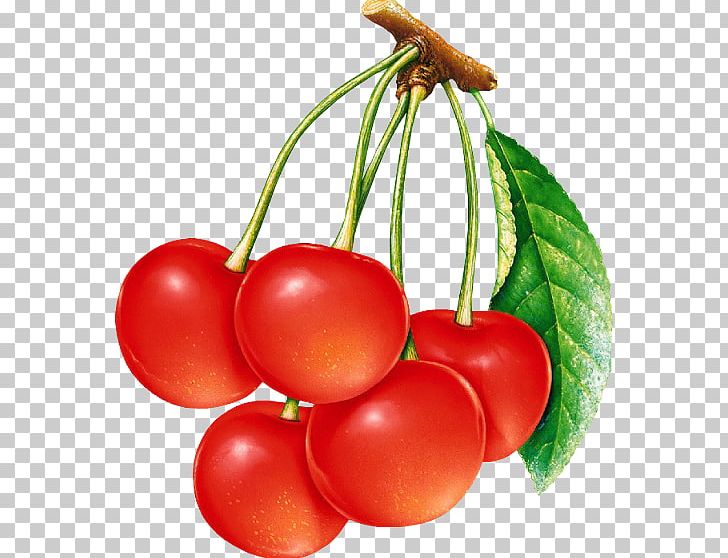 Cherry PNG, Clipart, Bush Tomato, Cherry, Download, Food, Fruit Free PNG Download