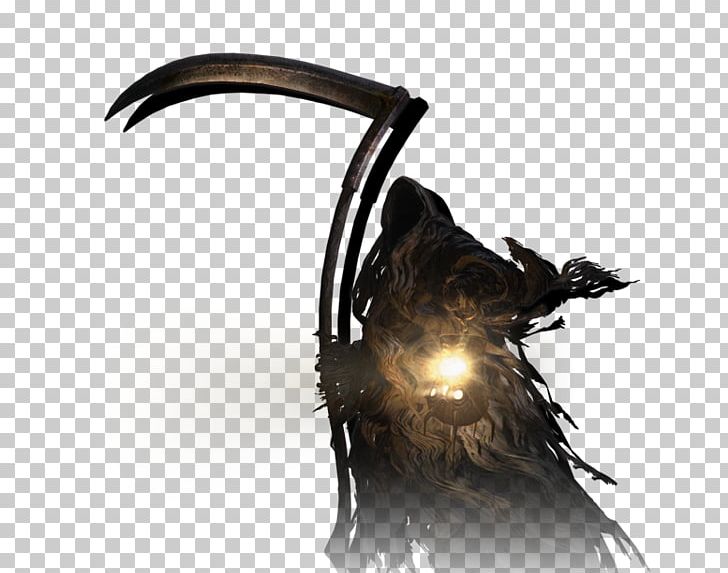 Dragon's Dogma: Dark Arisen Cockatrice Art PNG, Clipart,  Free PNG Download