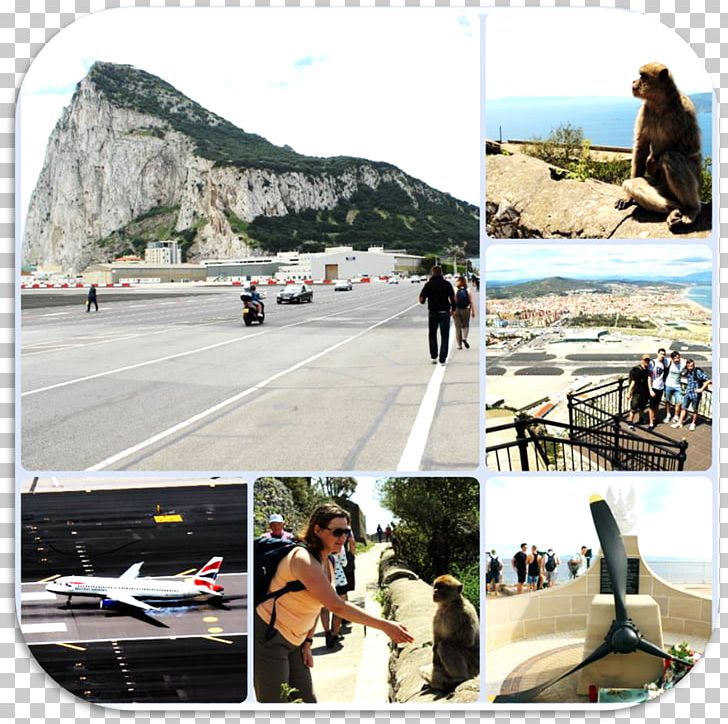 Gibraltar International Airport Rock Of Gibraltar Transport Asphalt Vacation PNG, Clipart, Aircraftmechanic, Airport, Asphalt, Asphalt Concrete, Beach Free PNG Download