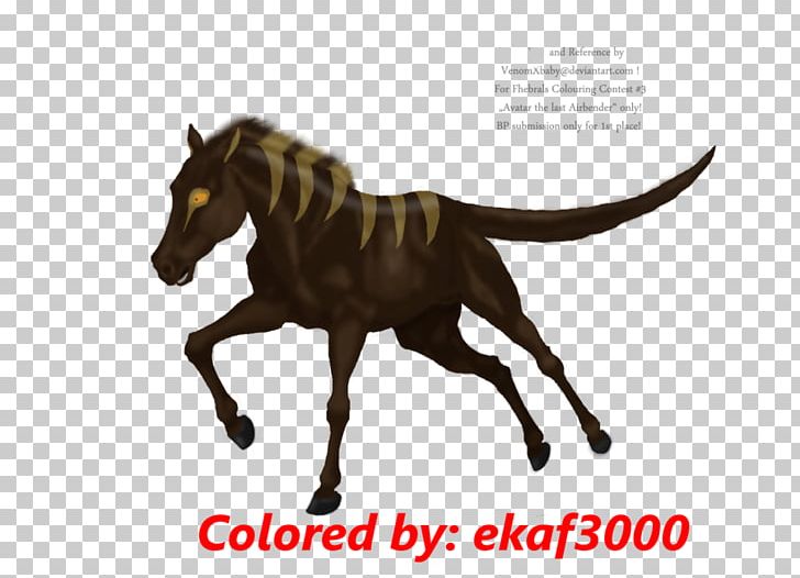 Mane Mustang Stallion Pony Foal PNG, Clipart, Fauna, Foal, Halter, Horse, Horse Hound Free PNG Download
