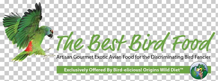 Organic Food Macaw Parrot Bird Food PNG, Clipart, Advertising, Area, Beak, Bird, Bird Food Free PNG Download