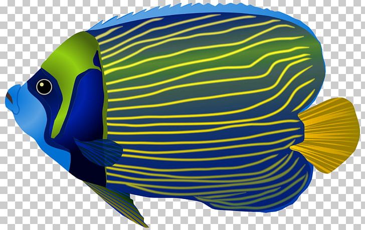 Papua New Guinea Underwater Ocean Fish Sea PNG, Clipart, Black And White, Blog, Blue, Blue Fish, Clipart Free PNG Download