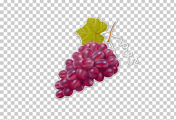 Grape Painting Auglis Drawing PNG, Clipart, Auglis, Charcoal, Drawing, Drink, Flowering Plant Free PNG Download