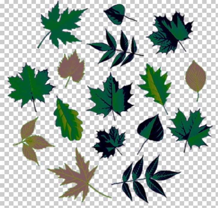 Maple Leaf Tree Euclidean PNG, Clipart, Branch, Cottonwood, Drawing, Elm, Flower Free PNG Download