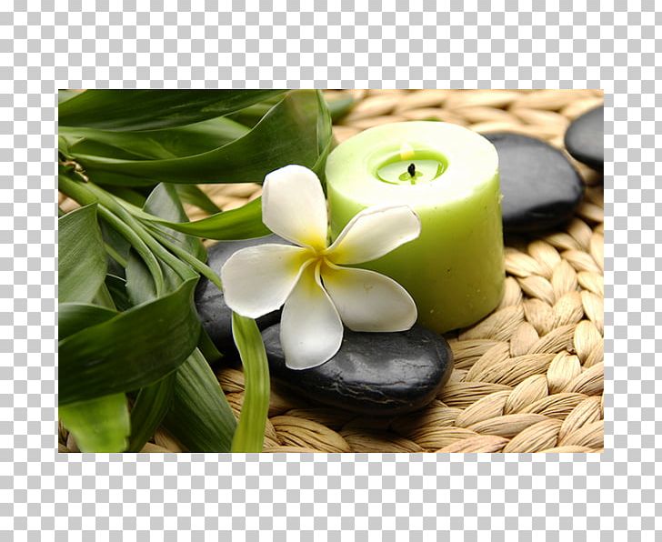 Shine SPA Massage Beauty Parlour Cosmetology PNG, Clipart, Aromatherapy, Bamboo Leaf, Beauty Parlour, Brochure, Candle Free PNG Download