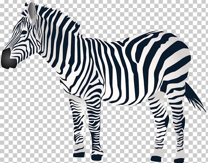 Zebra PNG, Clipart, Animal Figure, Animals, Black And White, Clip Art, Computer Graphics Free PNG Download