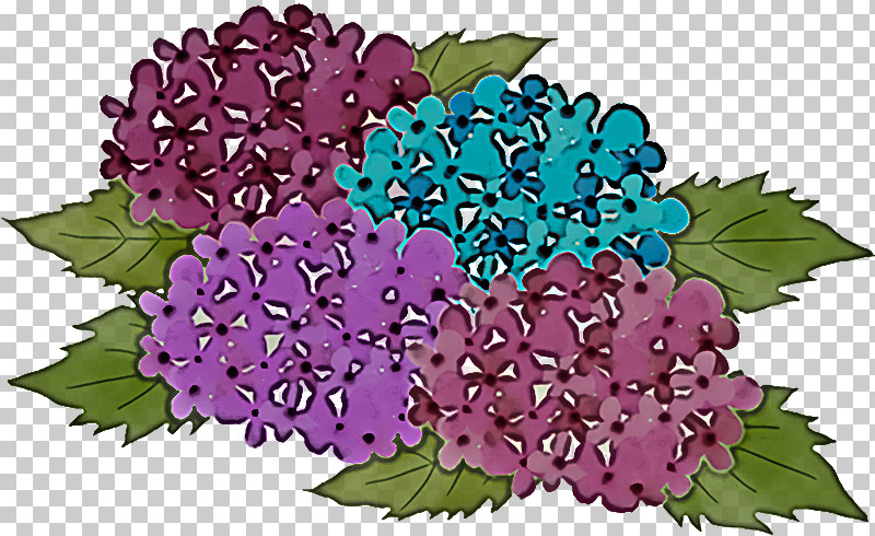 Floral Design PNG, Clipart, Annual Plant, California Lilacs, Floral Design, Flower, French Hydrangea Free PNG Download